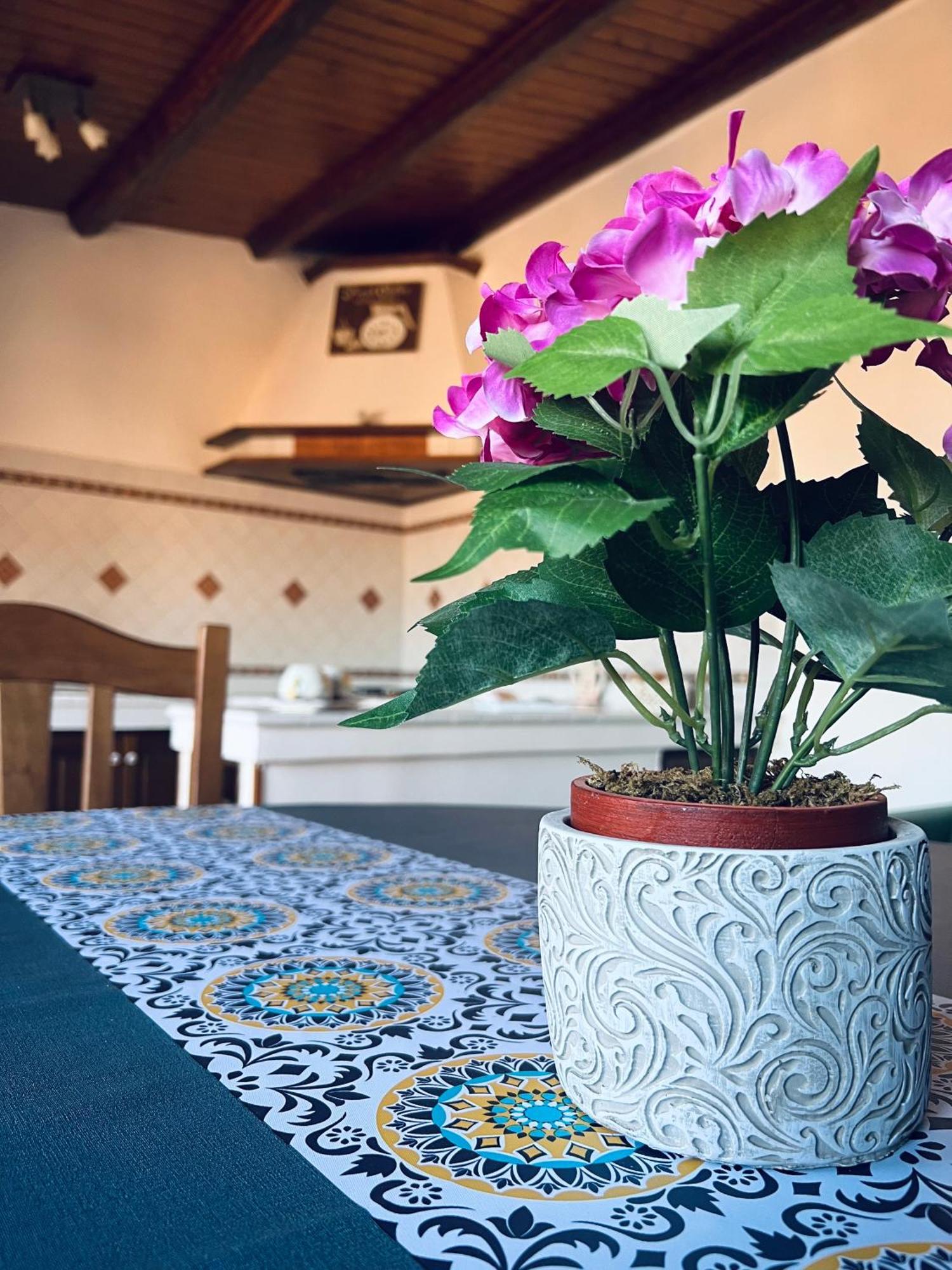 Sun House Apartment Palermo Ngoại thất bức ảnh